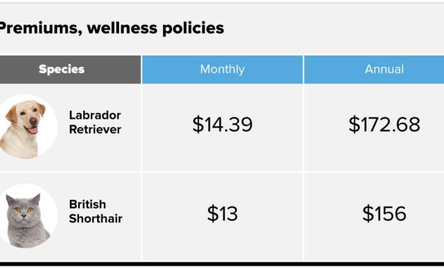 Pet insurance benefits for dogs and cats cost comparison