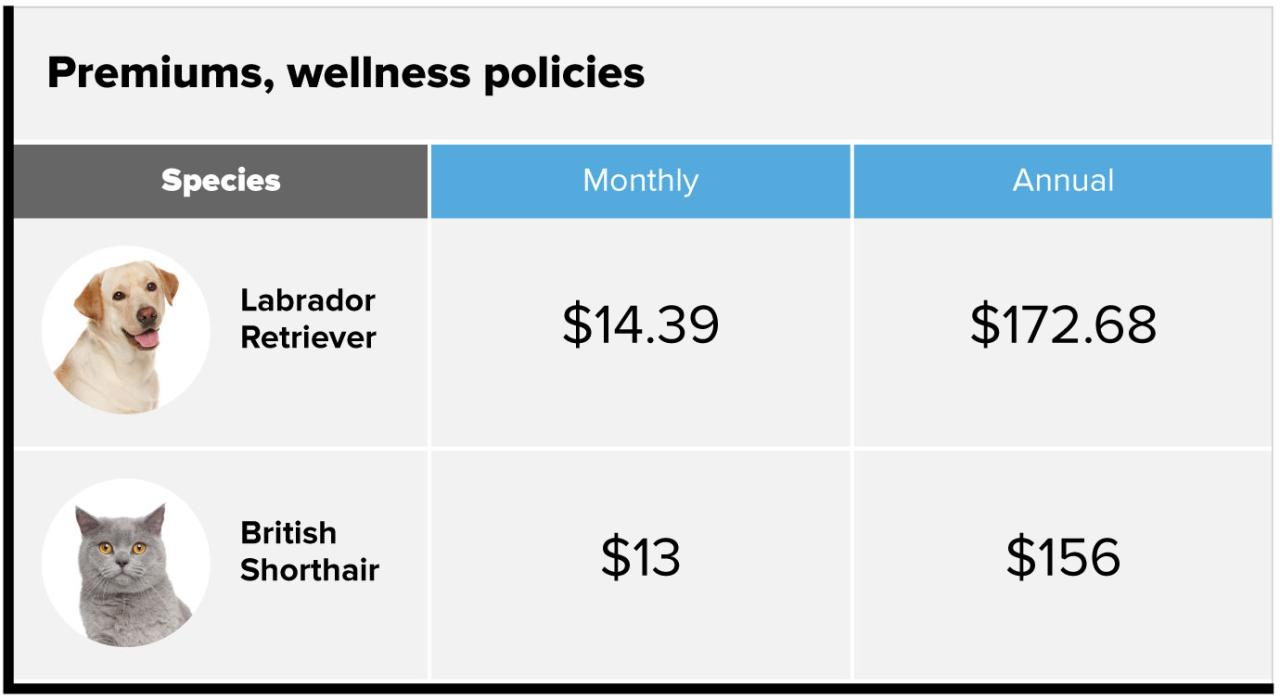 Pet insurance benefits for dogs and cats cost comparison