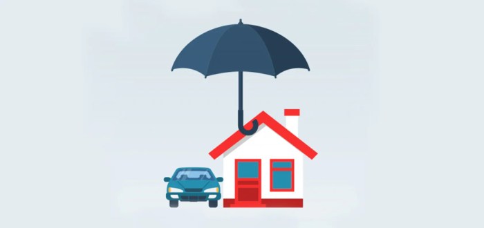 Shop car and home insurance