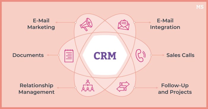 Crm system hindipanda leading effective banana